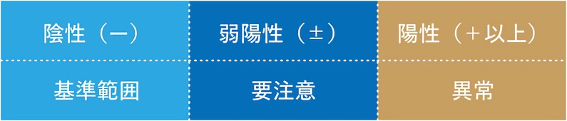 尿検査による尿タンパク判定