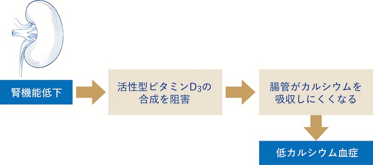 高血圧や高血糖が原因で腎機能は低下
