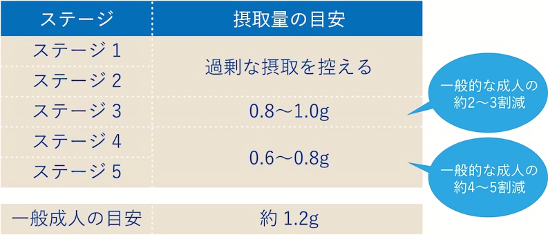ステージごとのタンパク質の摂取量（1日あたり、体重1kgあたり）