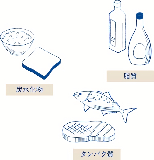 栄養バランスを考えた食事を
