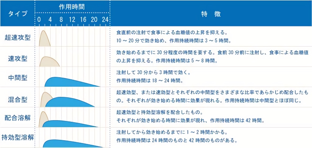 インスリン製剤の種類と作用